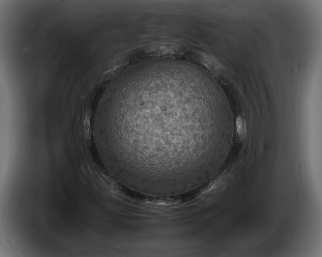 X0000087421203200705041301