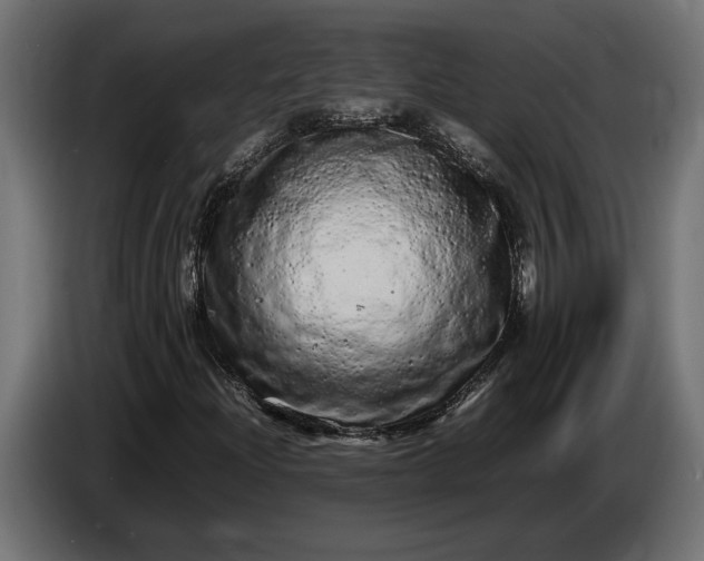 X0000087421204200705041301