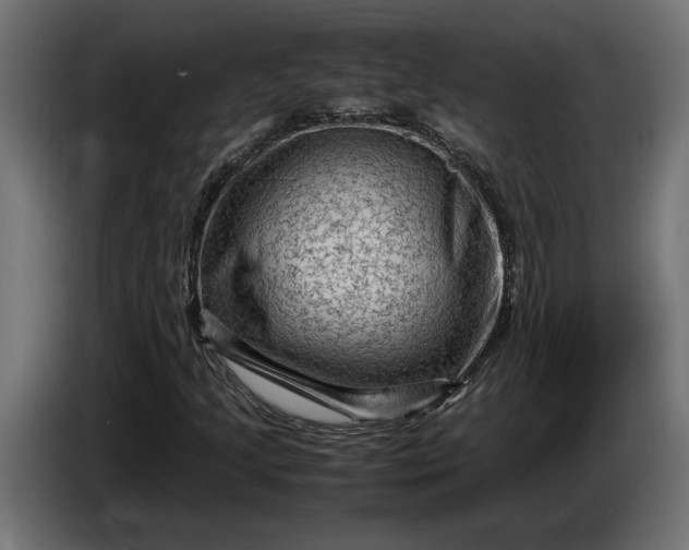 X0000087421205200705041301