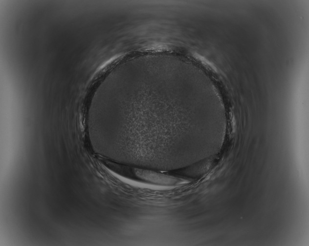 X0000087421206200705041301