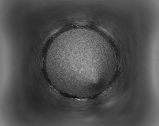 X0000087421207200705041301