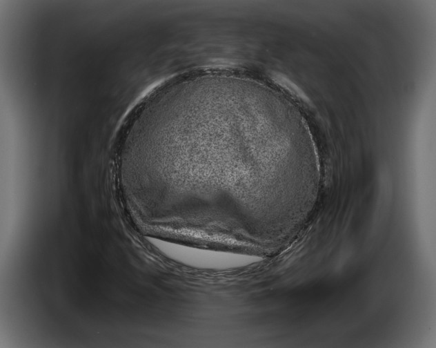 X0000087421208200705041301