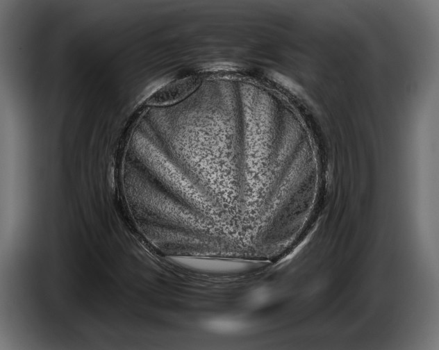 X0000087421209200705041301