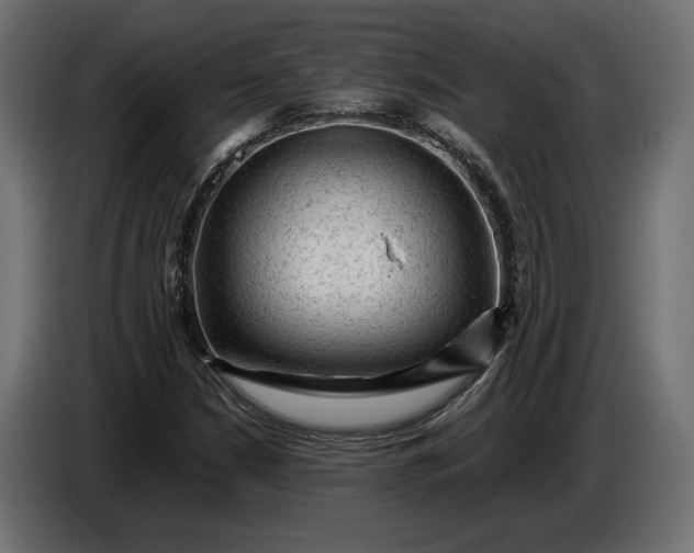 X0000087421210200705041301