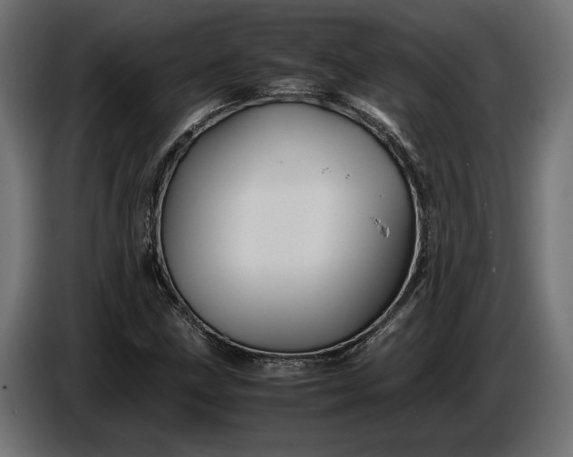 X0000087421211200705041301