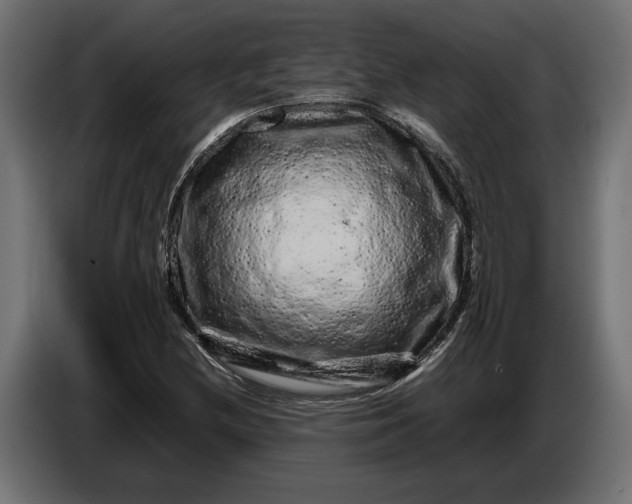 X0000087421212200705041301