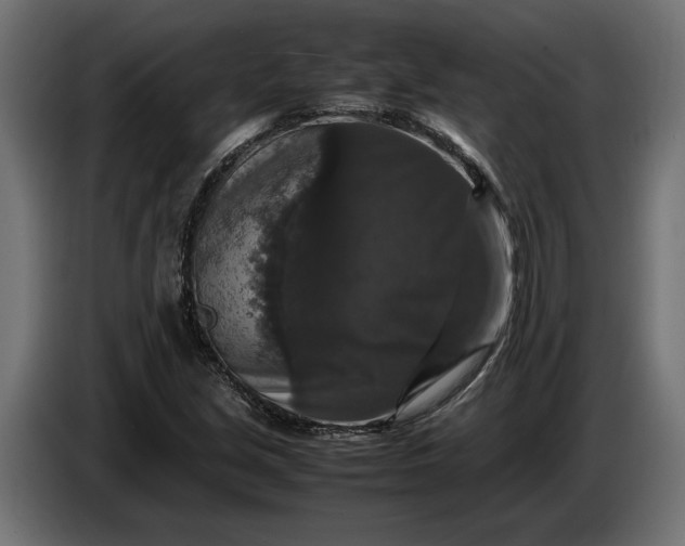 X0000087421213200705041301