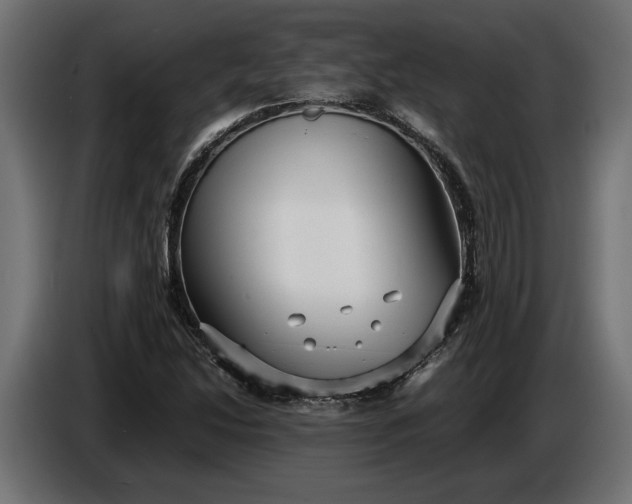 X0000087421214200705041301