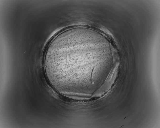 X0000087421216200705041301