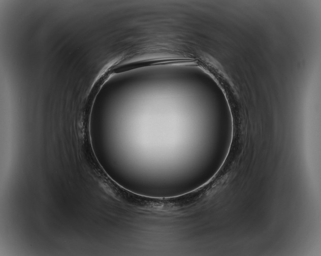 X0000087421218200705041301