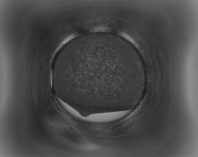 X0000087421219200705041301