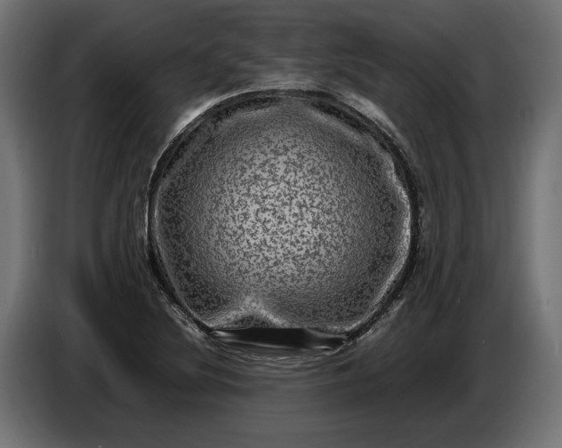 X0000087421220200705041301