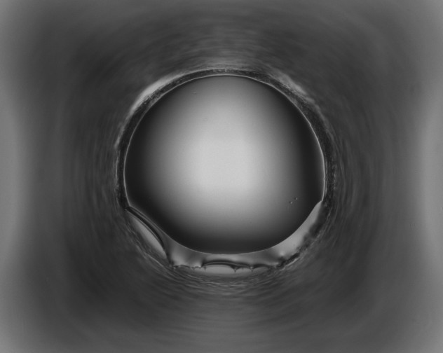 X0000087421222200705041301