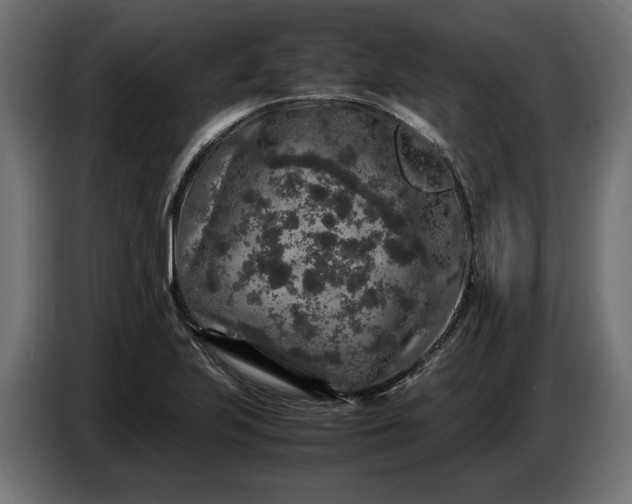 X0000087421223200705041301