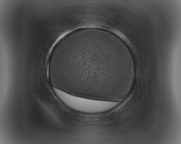 X0000087421224200705041301