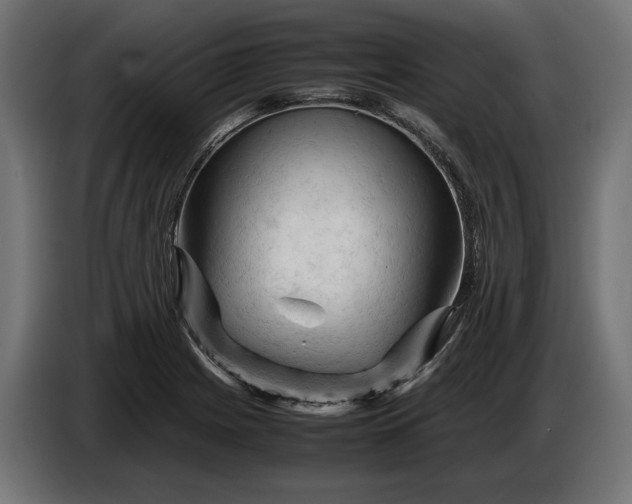 X0000087421225200705041301