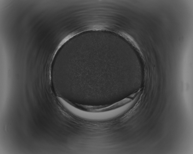 X0000087421226200705041301