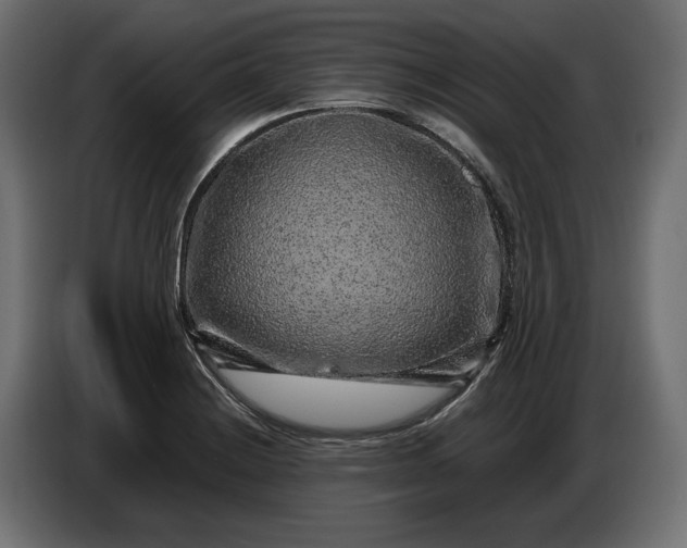 X0000087421228200705041301