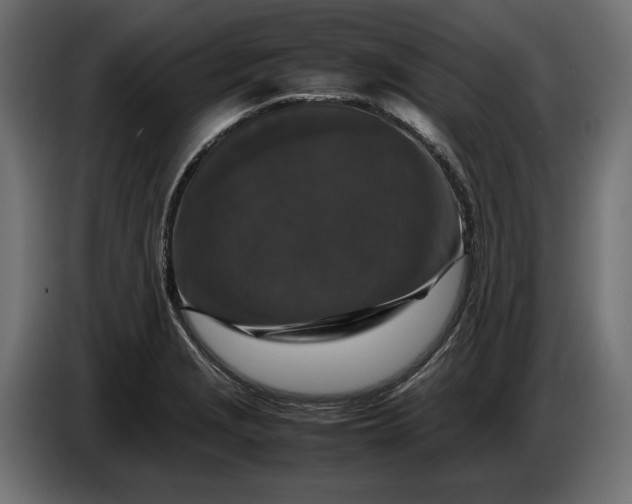 X0000087421229200705041301