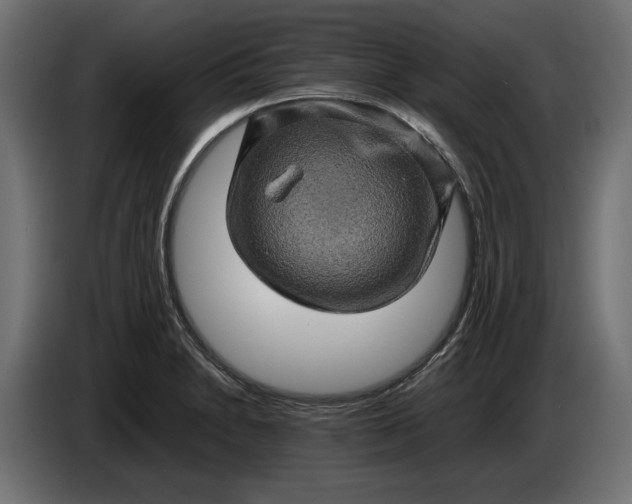 X0000087421230200705041301