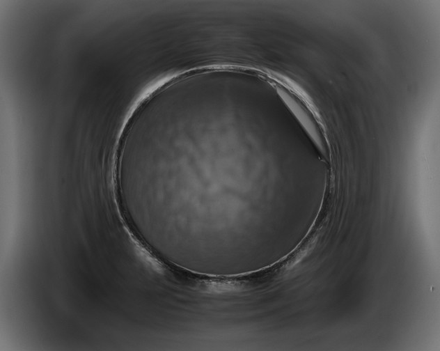 X0000087421231200705041301