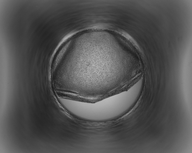 X0000087421232200705041301