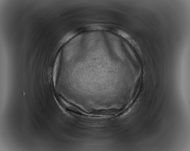 X0000087421233200705041301