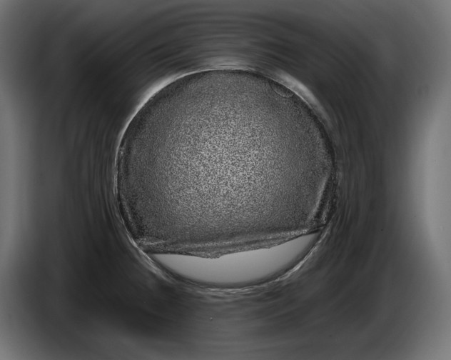 X0000087421236200705041301