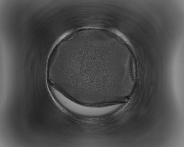 X0000087421237200705041301