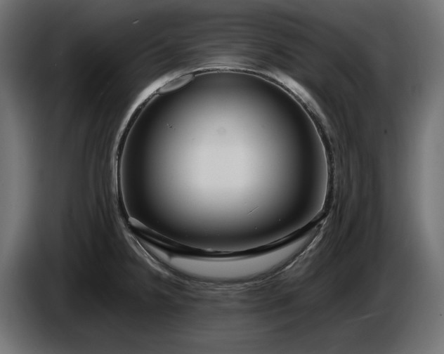 X0000087421238200705041301