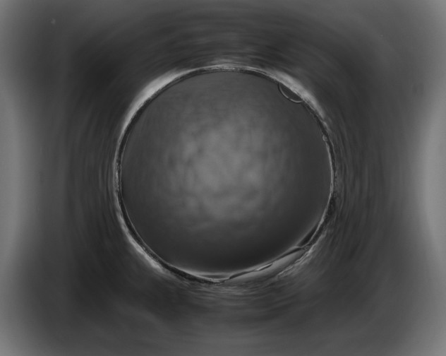 X0000087421239200705041301