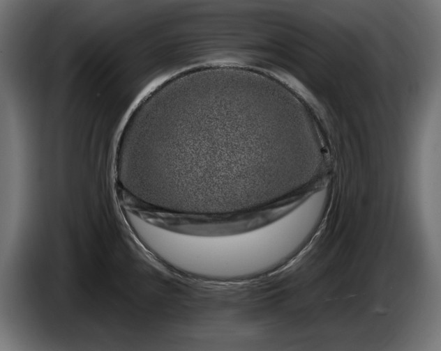 X0000087421240200705041301