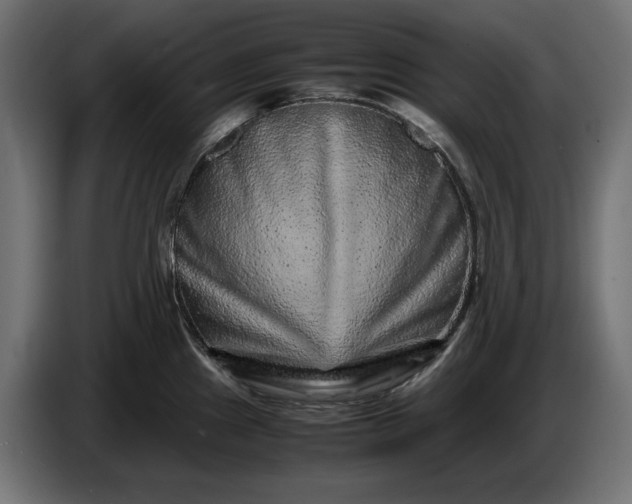 X0000087421241200705041301