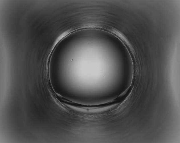 X0000087421242200705041301