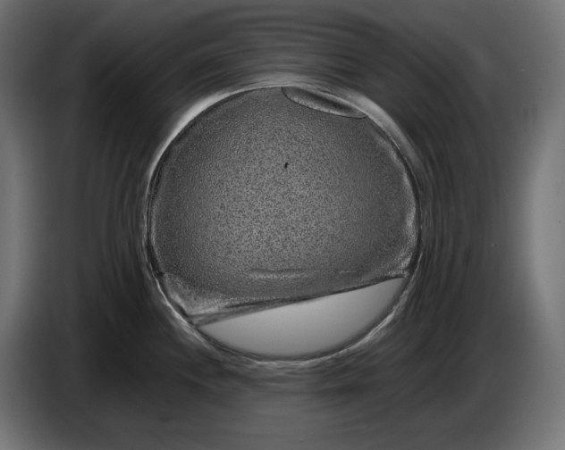 X0000087421244200705041301