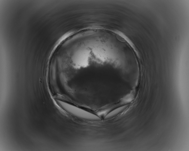 X0000087421245200705041301