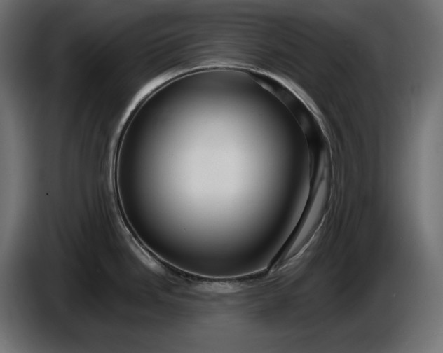 X0000087421246200705041301