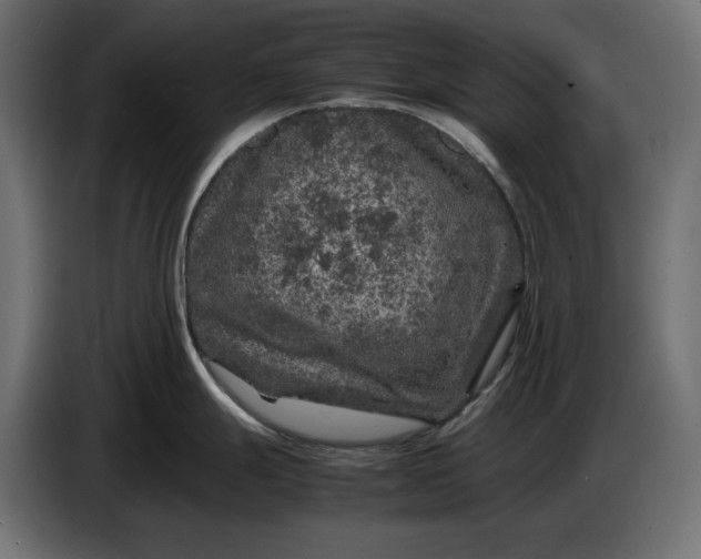 X0000087421247200705041301