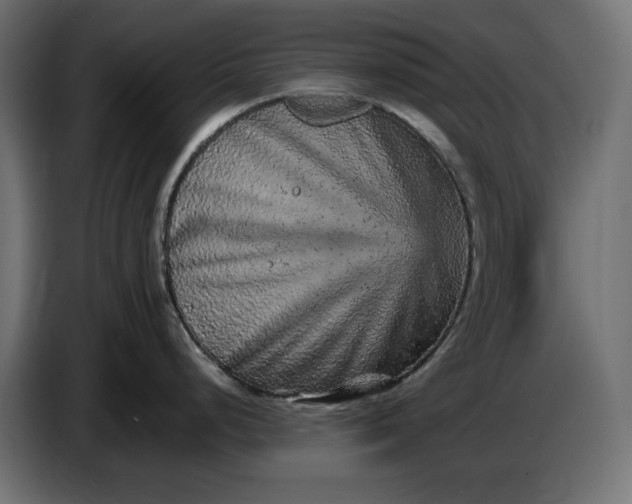 X0000087421248200705041301