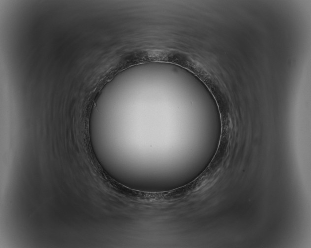 X0000087421249200705041301