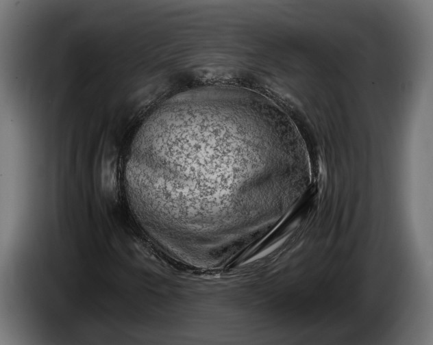 X0000087421250200705041301