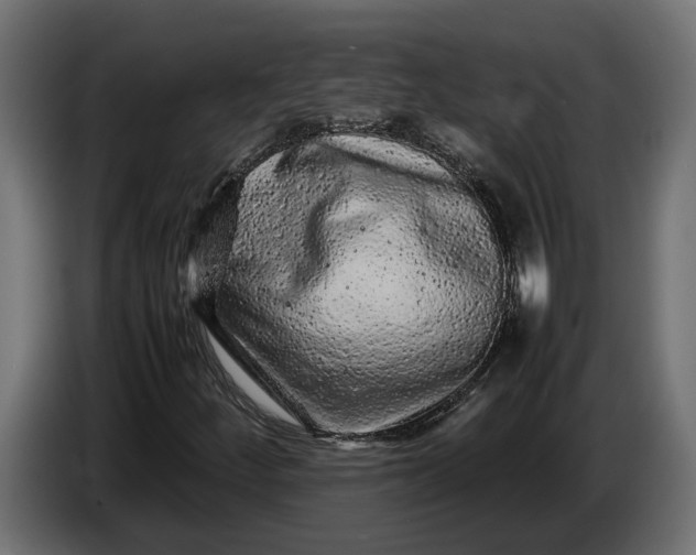 X0000087421252200705041301