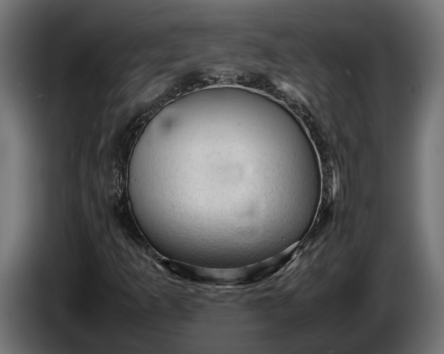 X0000087421253200705041301