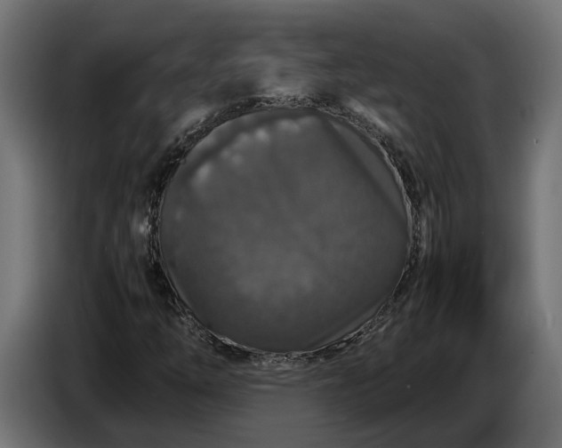 X0000087421254200705041301