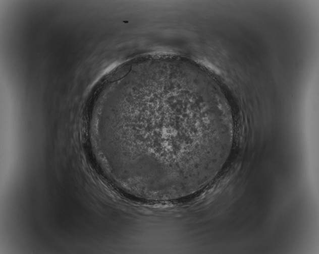 X0000087421255200705041301