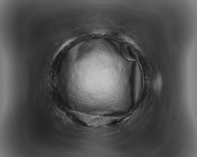 X0000087421256200705041301