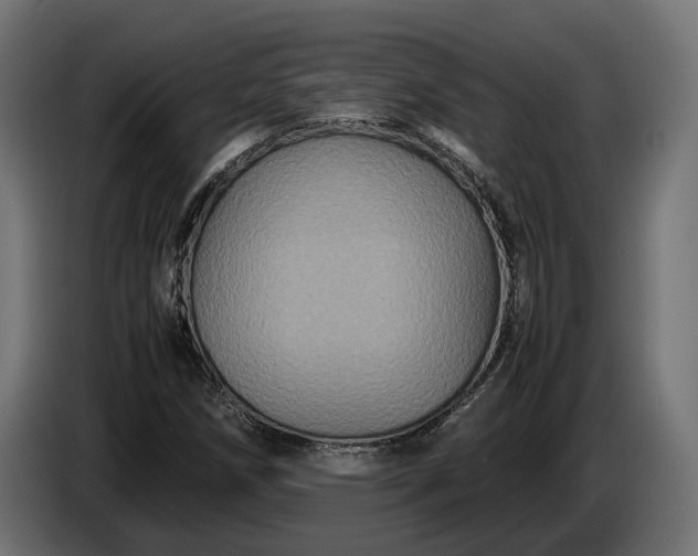 X0000087421258200705041301