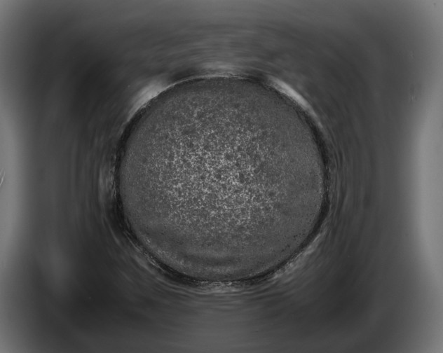 X0000087421259200705041301