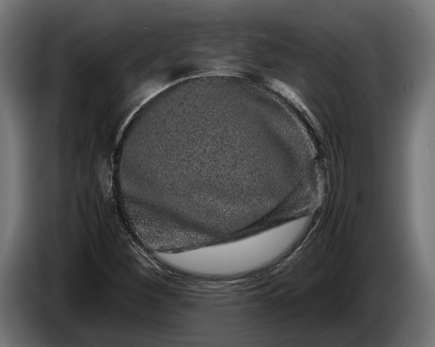 X0000087421260200705041301