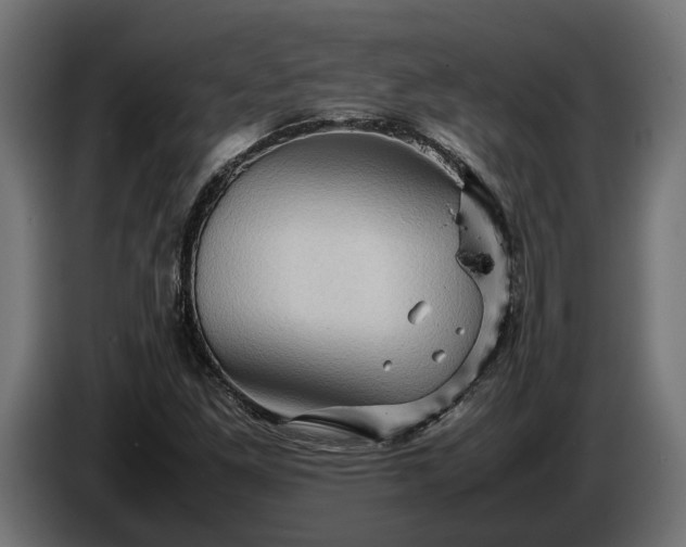 X0000087421261200705041301